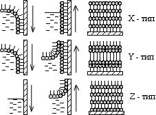 Типы структур пленок Ленгмюра-Блоджетт
